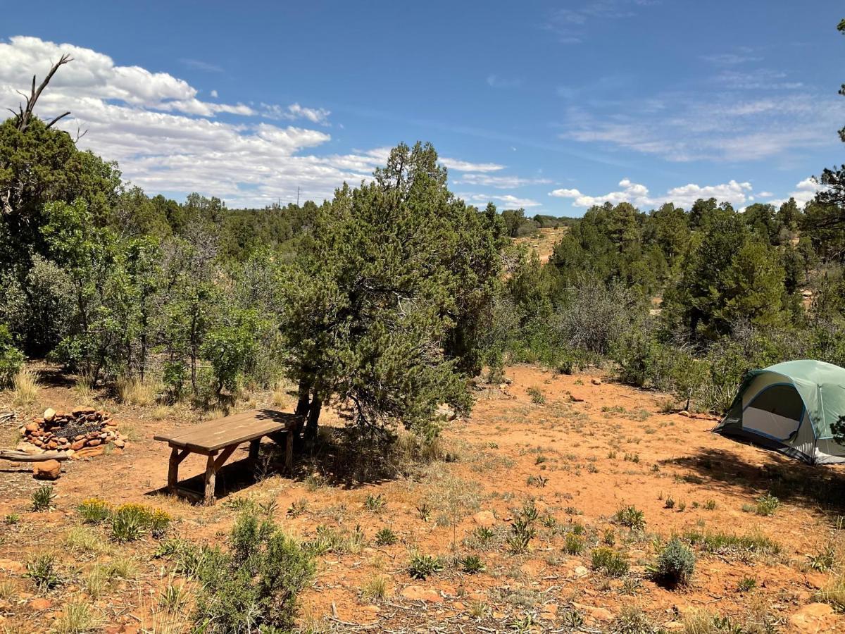 Indian Canyon Ranch Verdure Exteriör bild